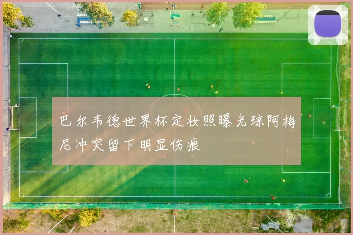 巴尔韦德世界杯定妆照曝光琼阿梅尼冲突留下明显伤痕